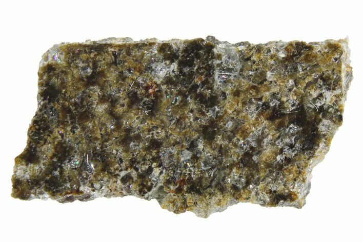 Polished Martian Meteorite Slice ( g) - NWA #256134